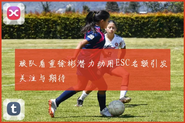 狼队看重徐彬潜力动用ESC名额引发关注与期待