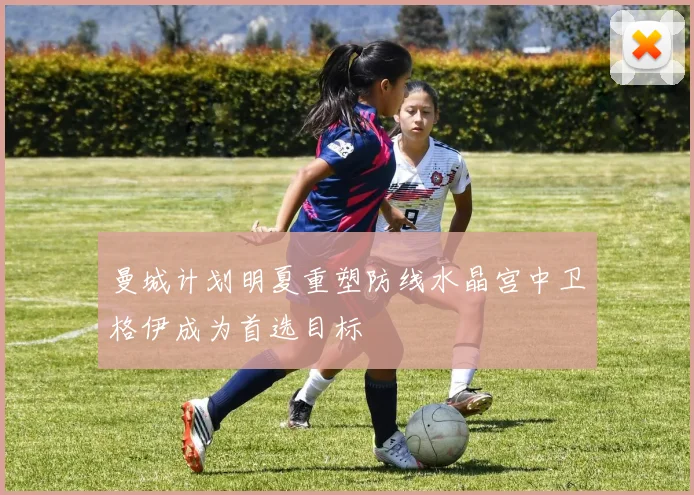 曼城计划明夏重塑防线水晶宫中卫格伊成为首选目标