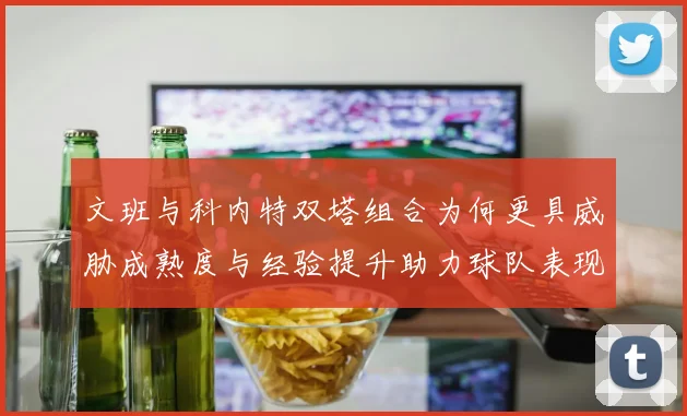 文班与科内特双塔组合为何更具威胁成熟度与经验提升助力球队表现