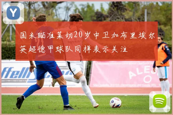 国米瞄准莱切20岁中卫加布里埃尔英超德甲球队同样表示关注
